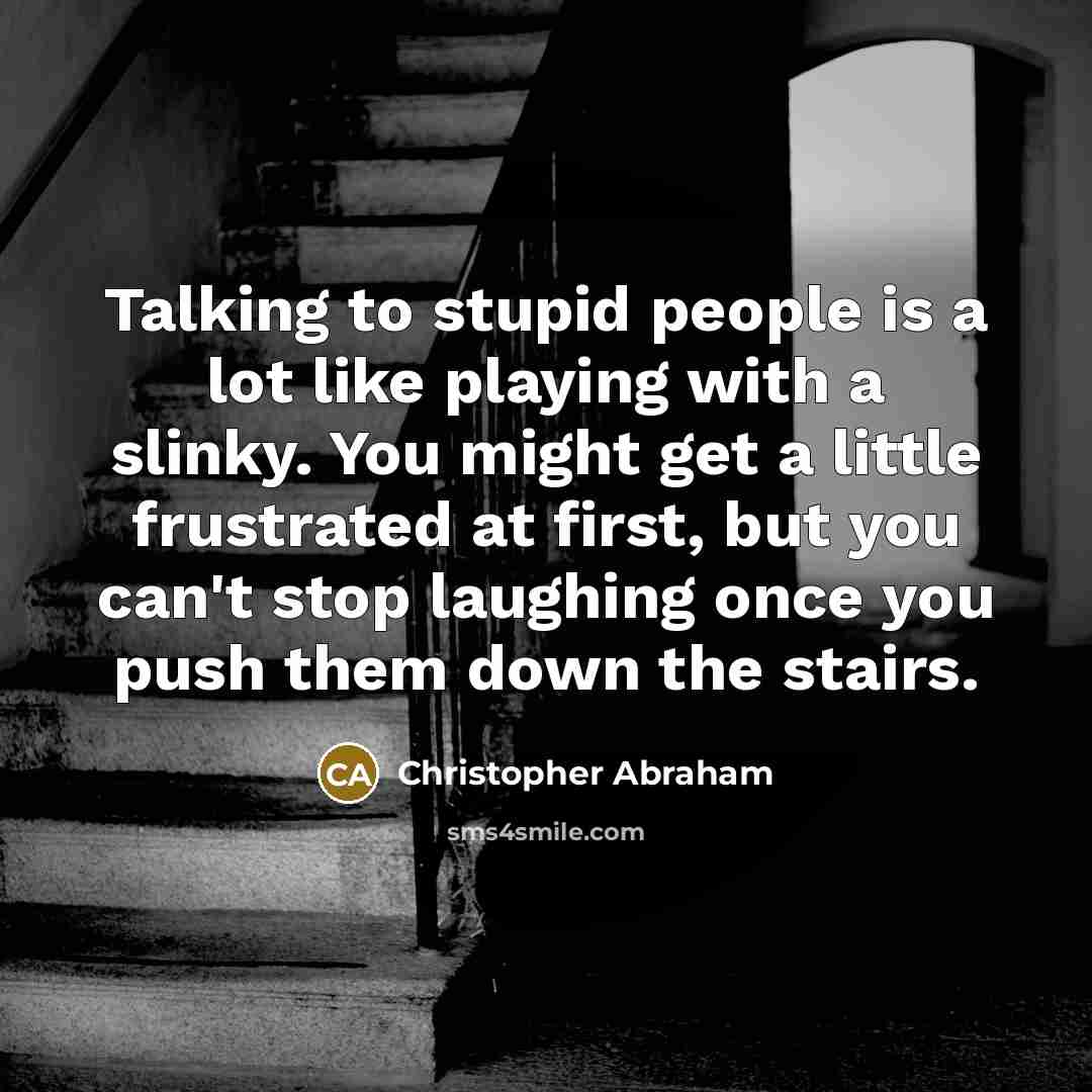 “Talking to stupid people is a lot like playing with…” quote by Christopher Abraham