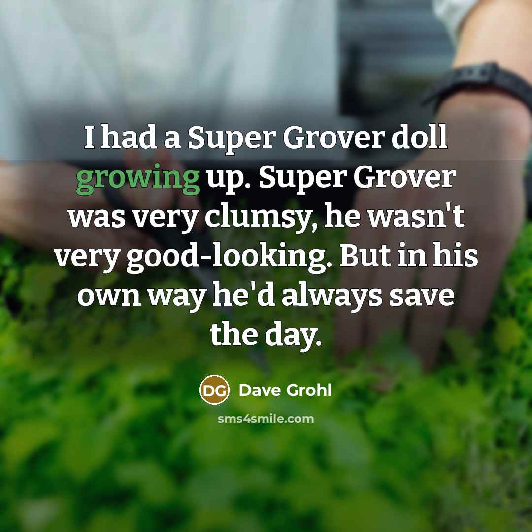 “I had a Super Grover doll growing up. Super Grover…” quote by Dave Grohl