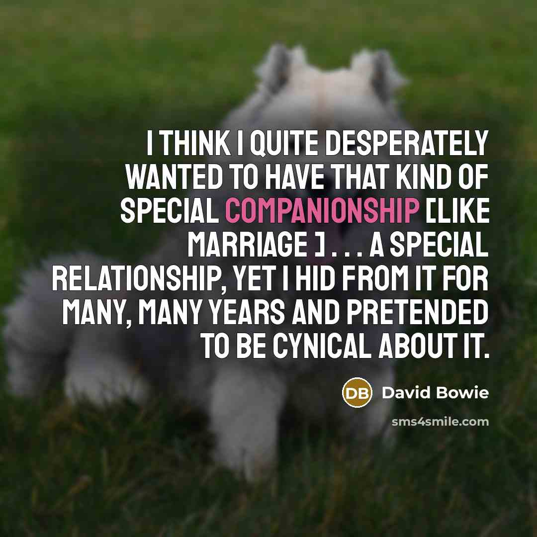 “I think I quite desperately wanted to have that kind…” quote by David Bowie