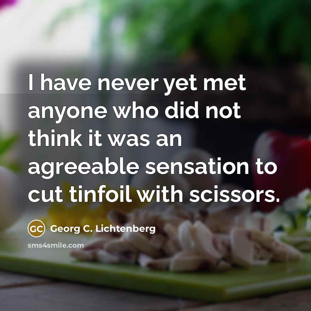 “I have never yet met anyone who did not think…” quote by Georg C. Lichtenberg