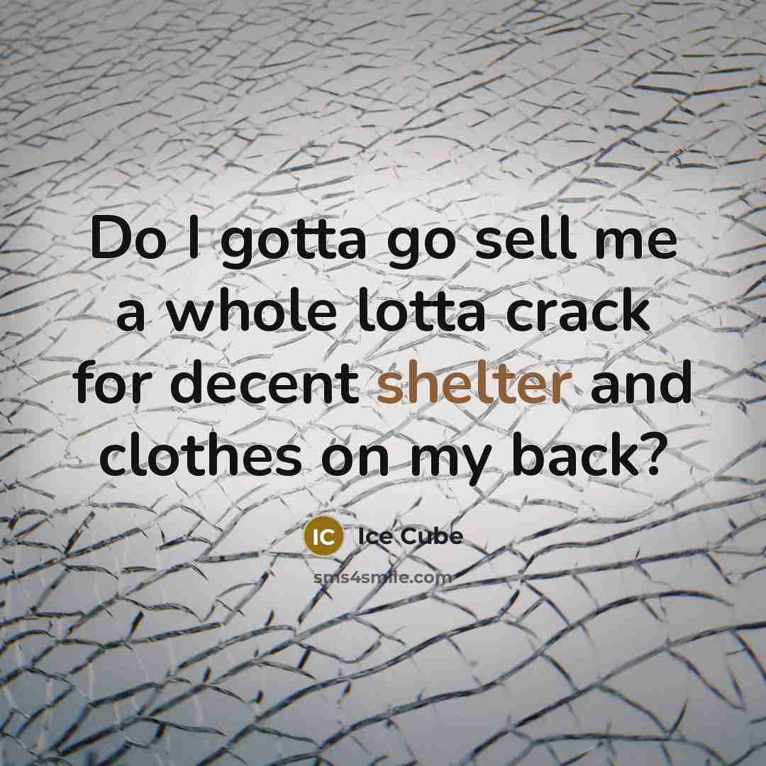 “Do I gotta go sell me a whole lotta crack…” quote by Ice Cube