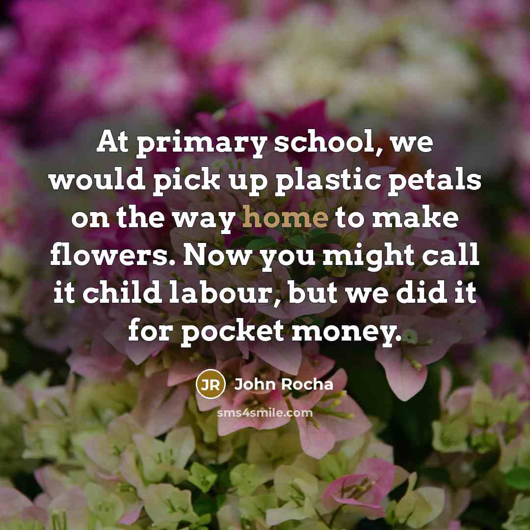“At primary school, we would pick up plastic petals on…” quote by John Rocha