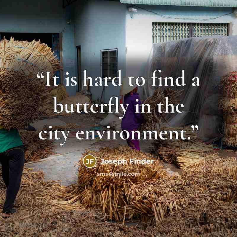 “It is hard to find a butterfly in the city environment.” quote by Joseph Finder