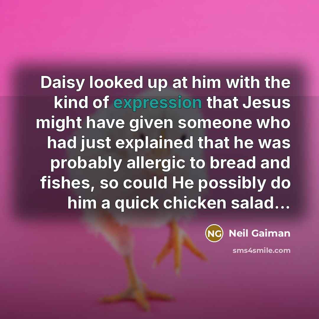 “Daisy looked up at him with the kind of expression…” quote by Neil Gaiman