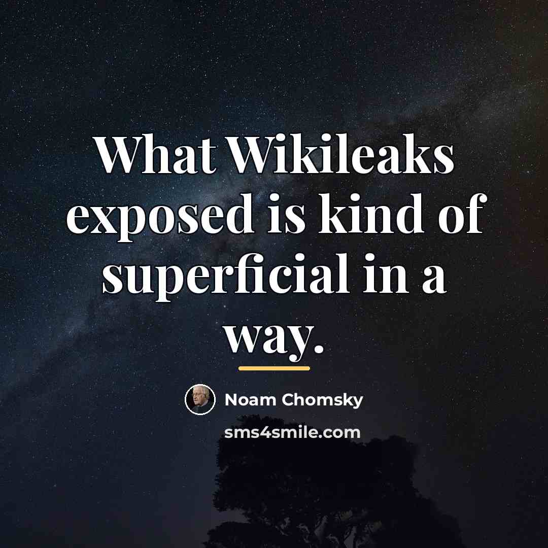 “What Wikileaks exposed is kind of superficial in a way.…” quote by Noam Chomsky