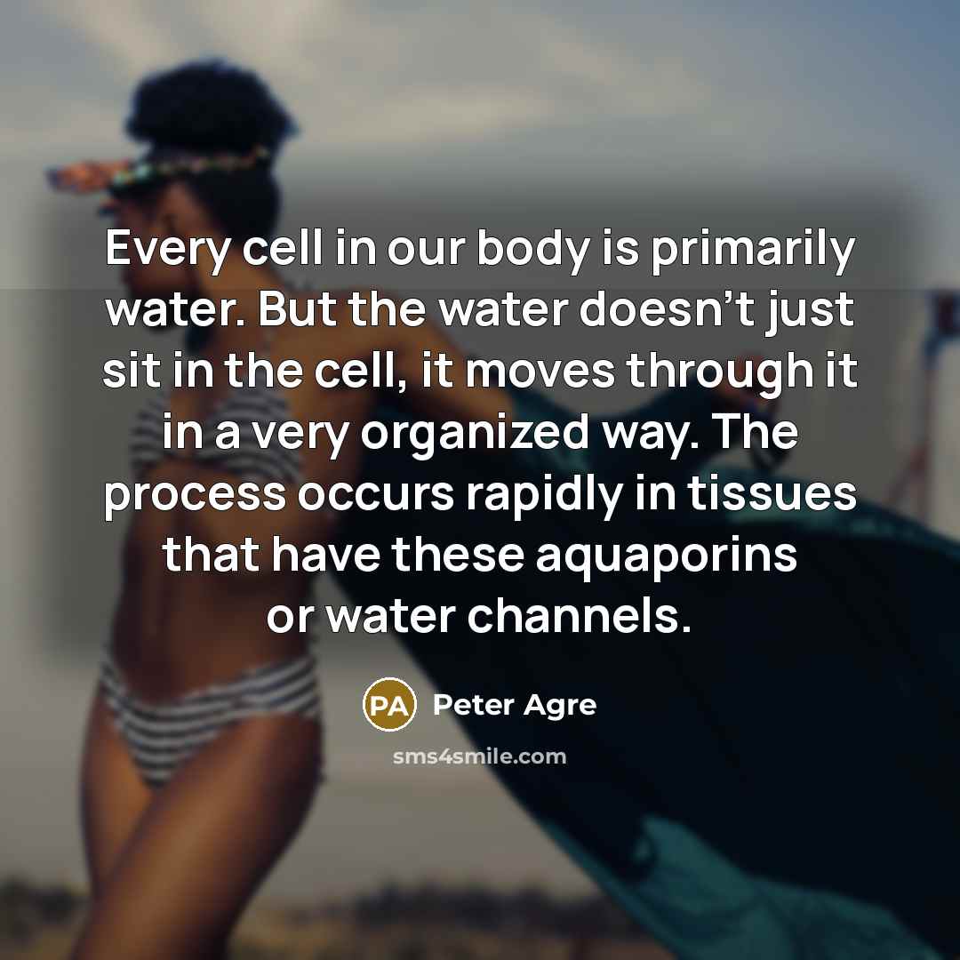 “Every cell in our body is primarily water. But the…” quote by Peter Agre