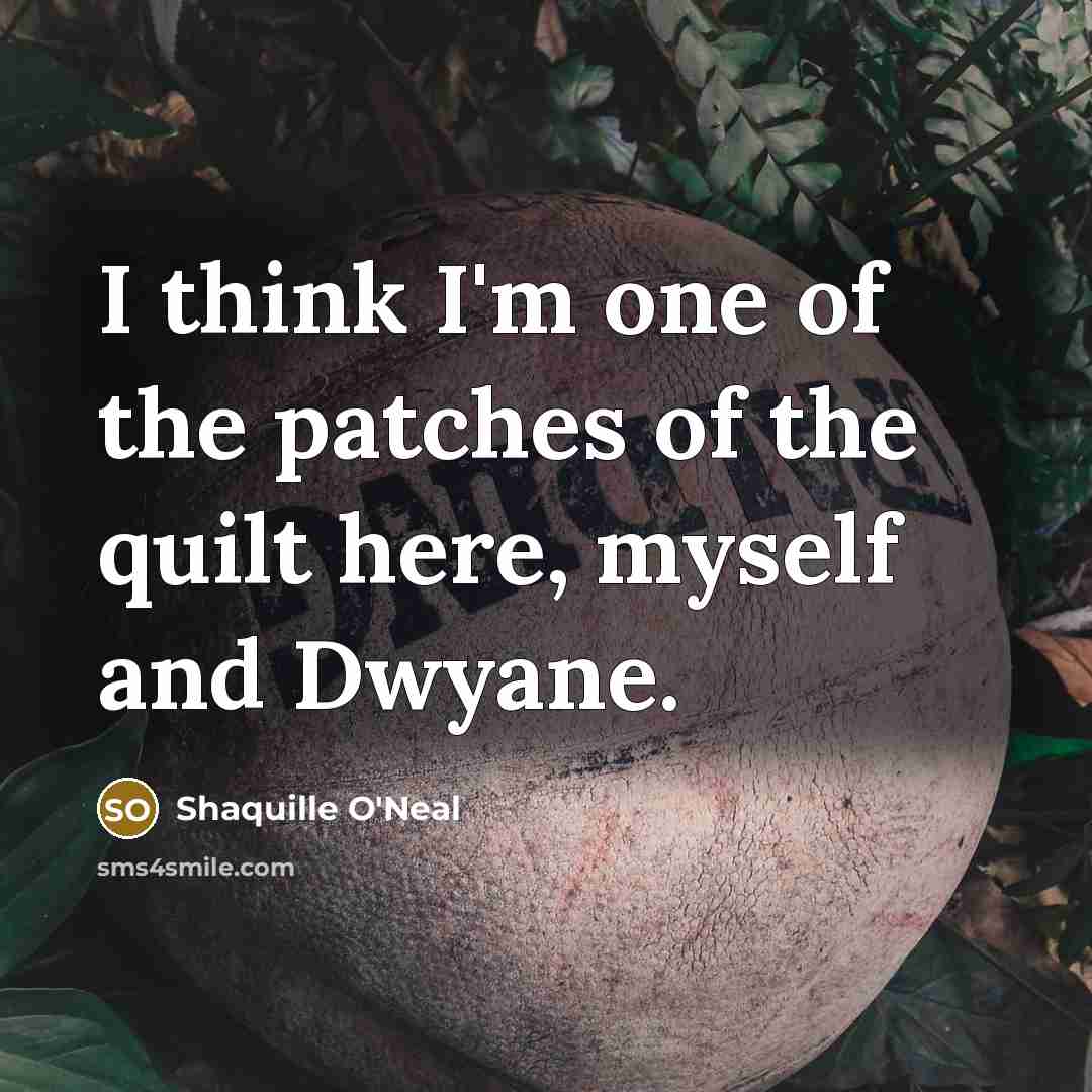 “I think I'm one of the patches of the quilt…” quote by Shaquille O'Neal