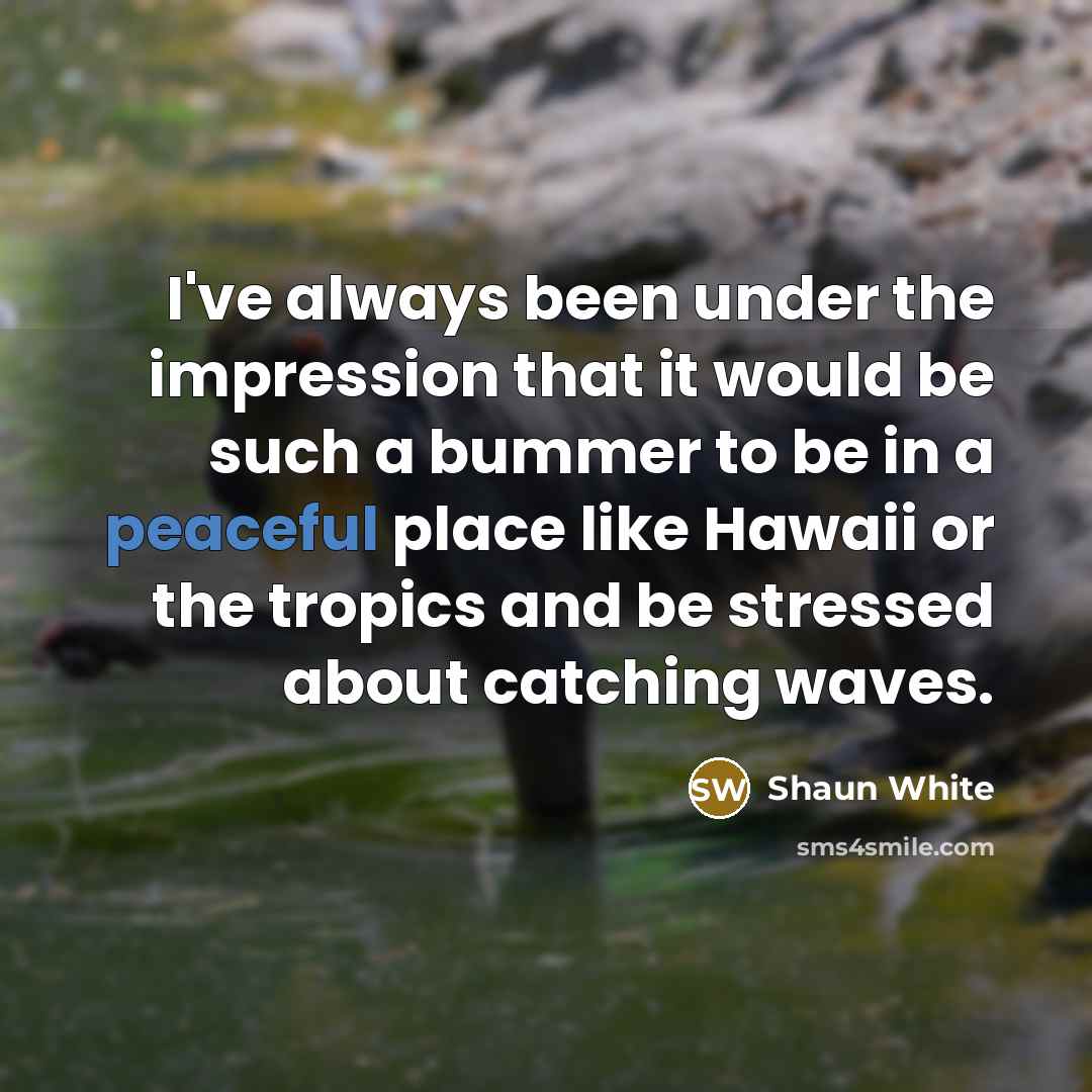 “I've always been under the impression that it would be…” quote by Shaun White