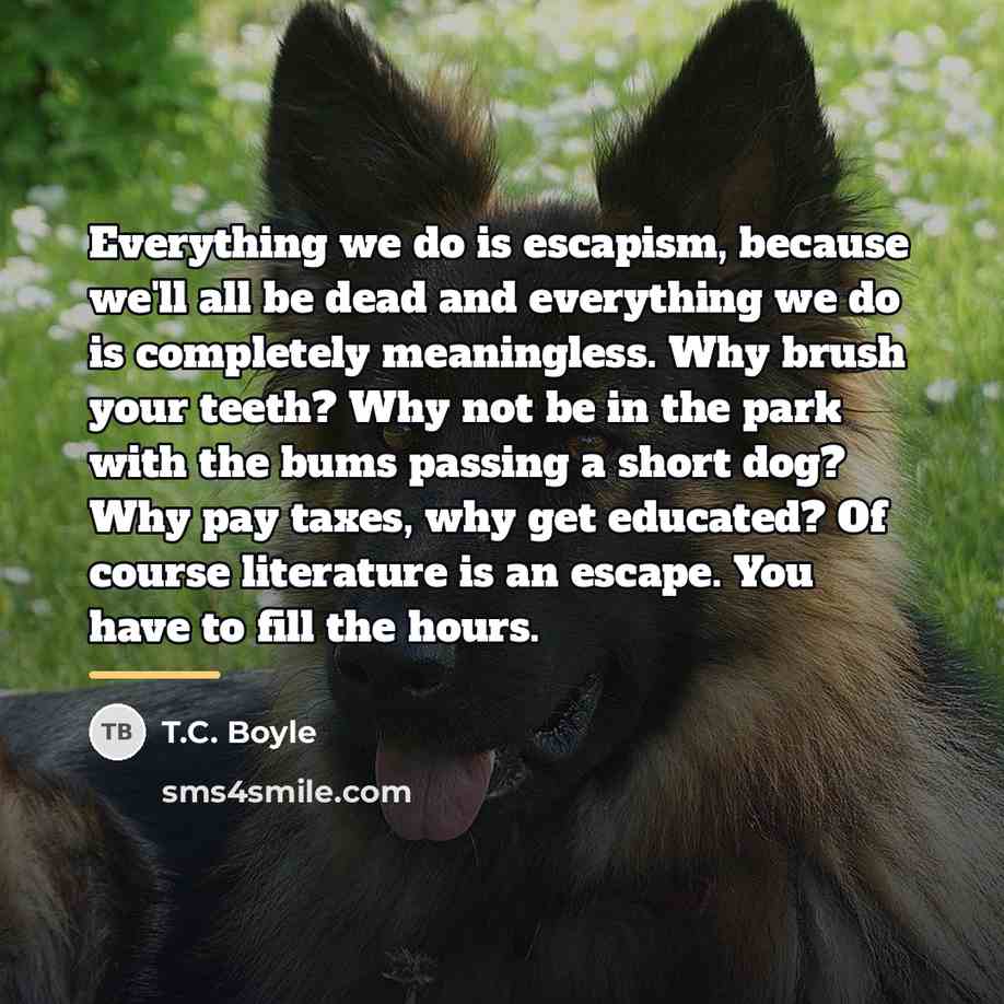 “Everything we do is escapism, because we'll all be dead…” quote by T.C. Boyle