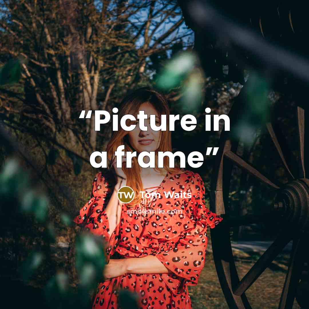 “Picture in a frame” quote by Tom Waits