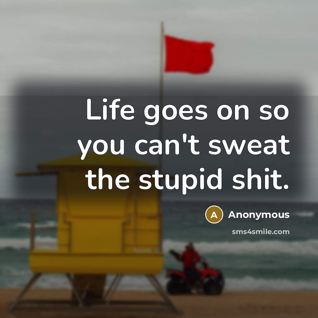 “Life goes on so you can't sweat the stupid shit.…” quote by Anonymous