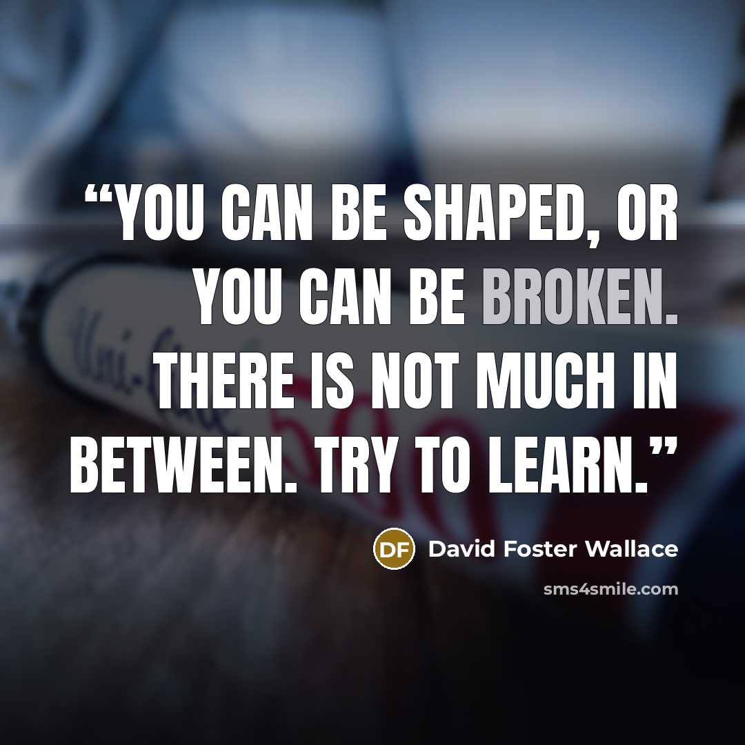 “You can be shaped, or you can be broken. There is not much in between. Try to learn.” quote by David Foster Wallace