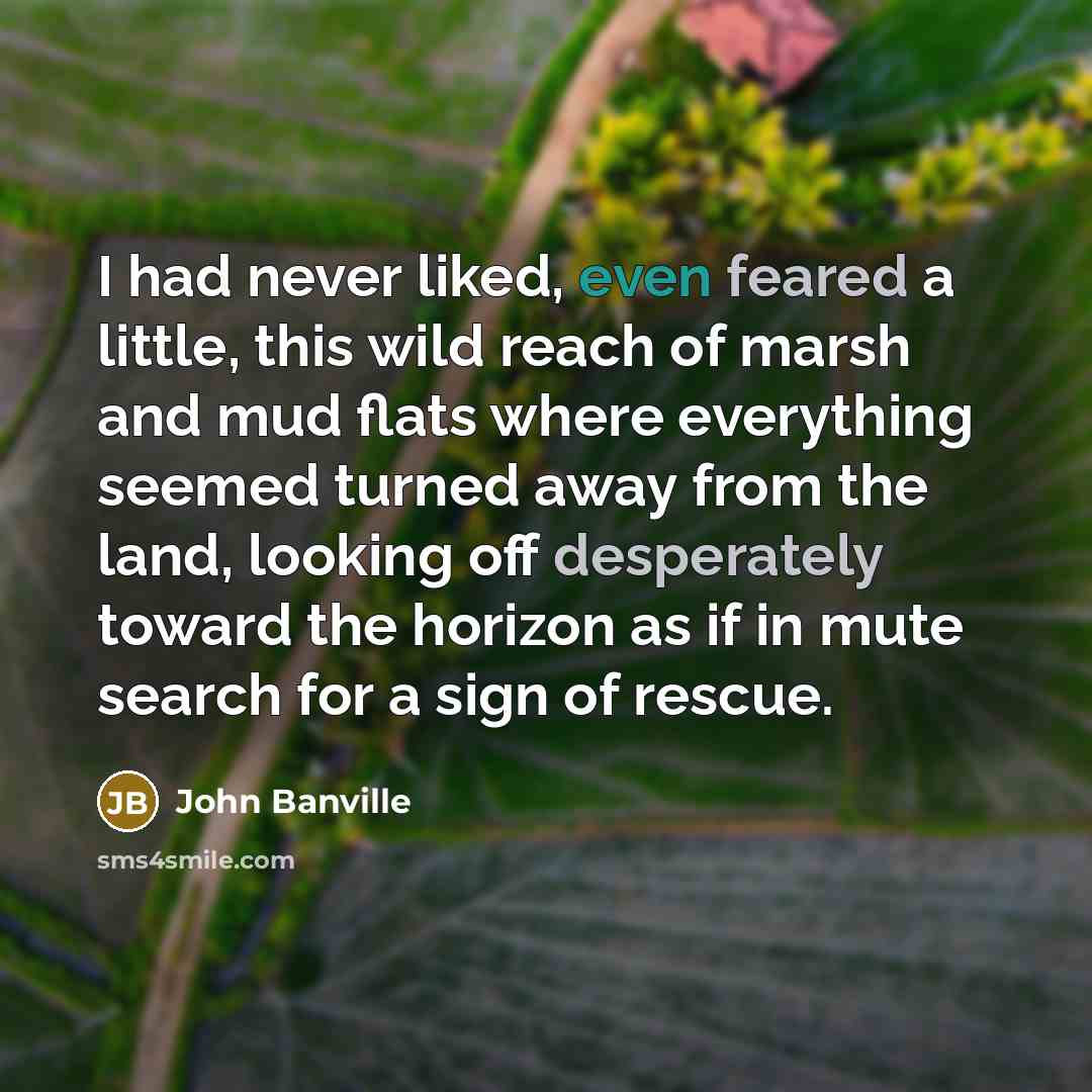 “I had never liked, even feared a little, this wild reach of marsh and mud flats where everything seemed turned away from the land, looking off desperately toward the horizon as if in mute search for a sign of rescue.” quote by John Banville