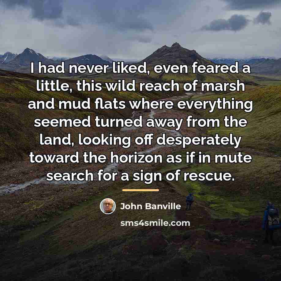 “I had never liked, even feared a little, this wild…” quote by John Banville