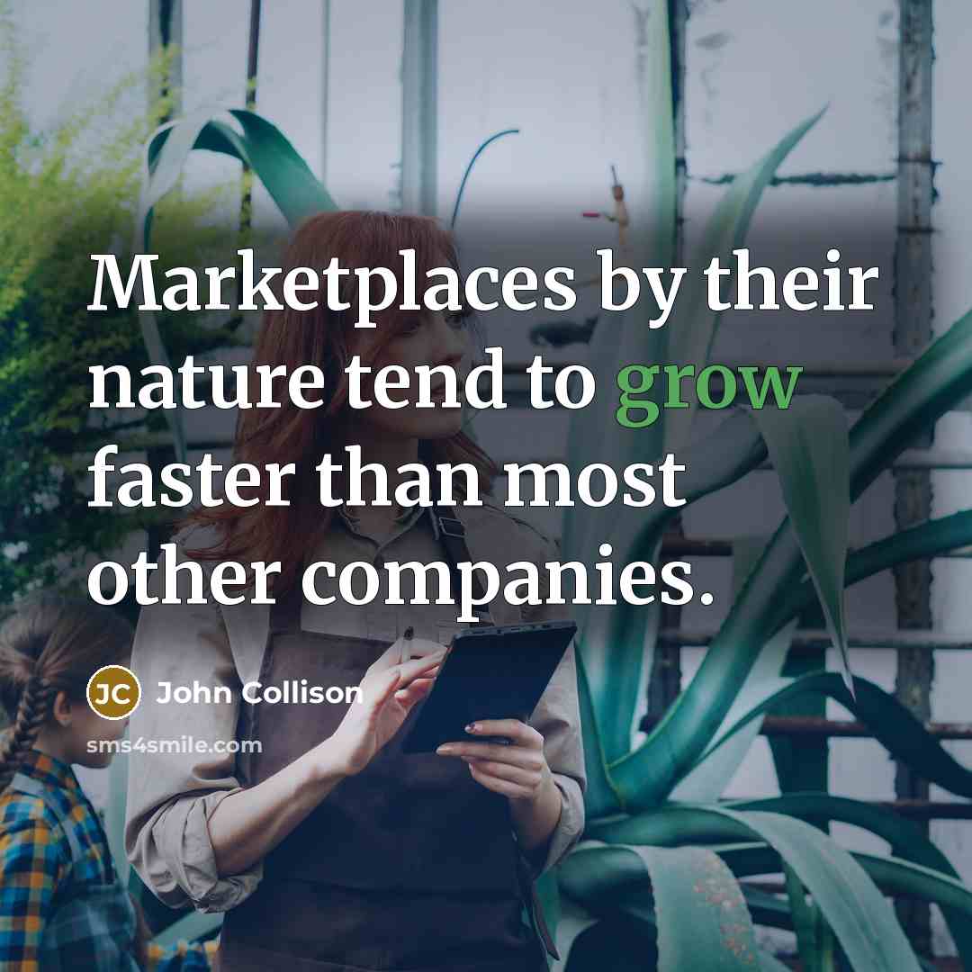 “Marketplaces by their nature tend to grow faster than most…” quote by John Collison