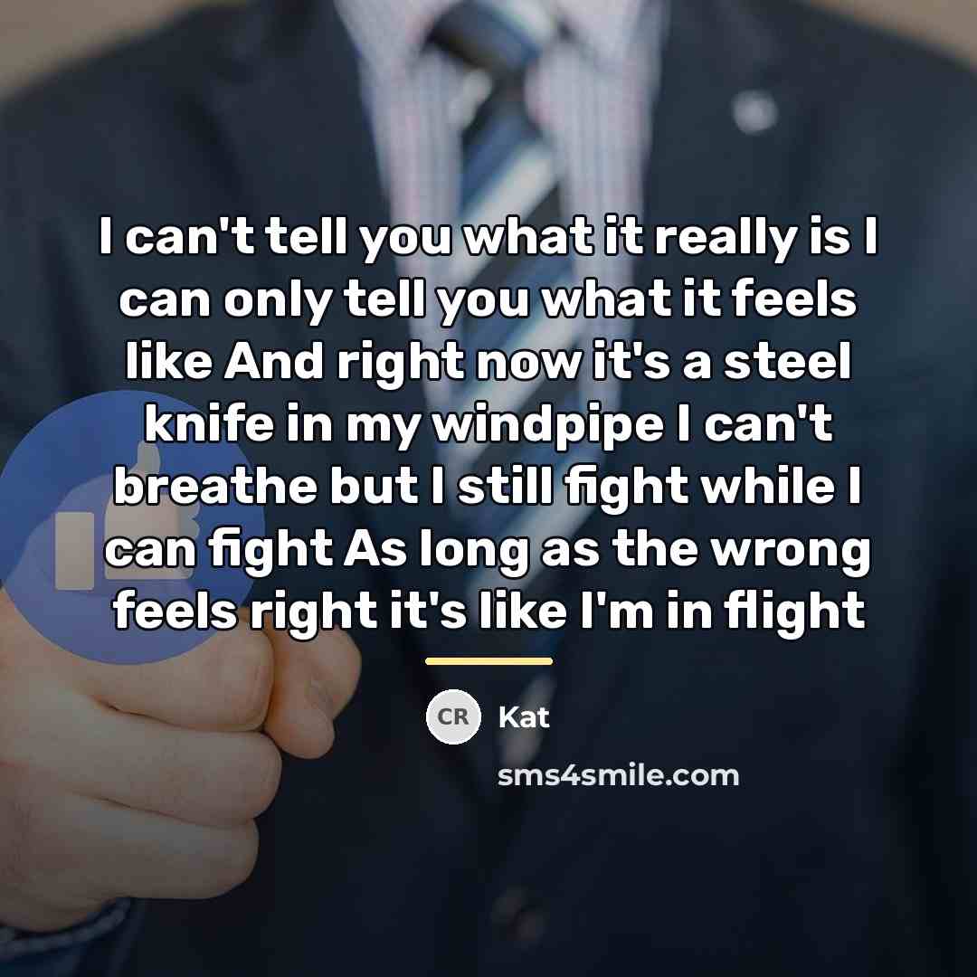 “I can't tell you what it really is I can…” quote by Kat