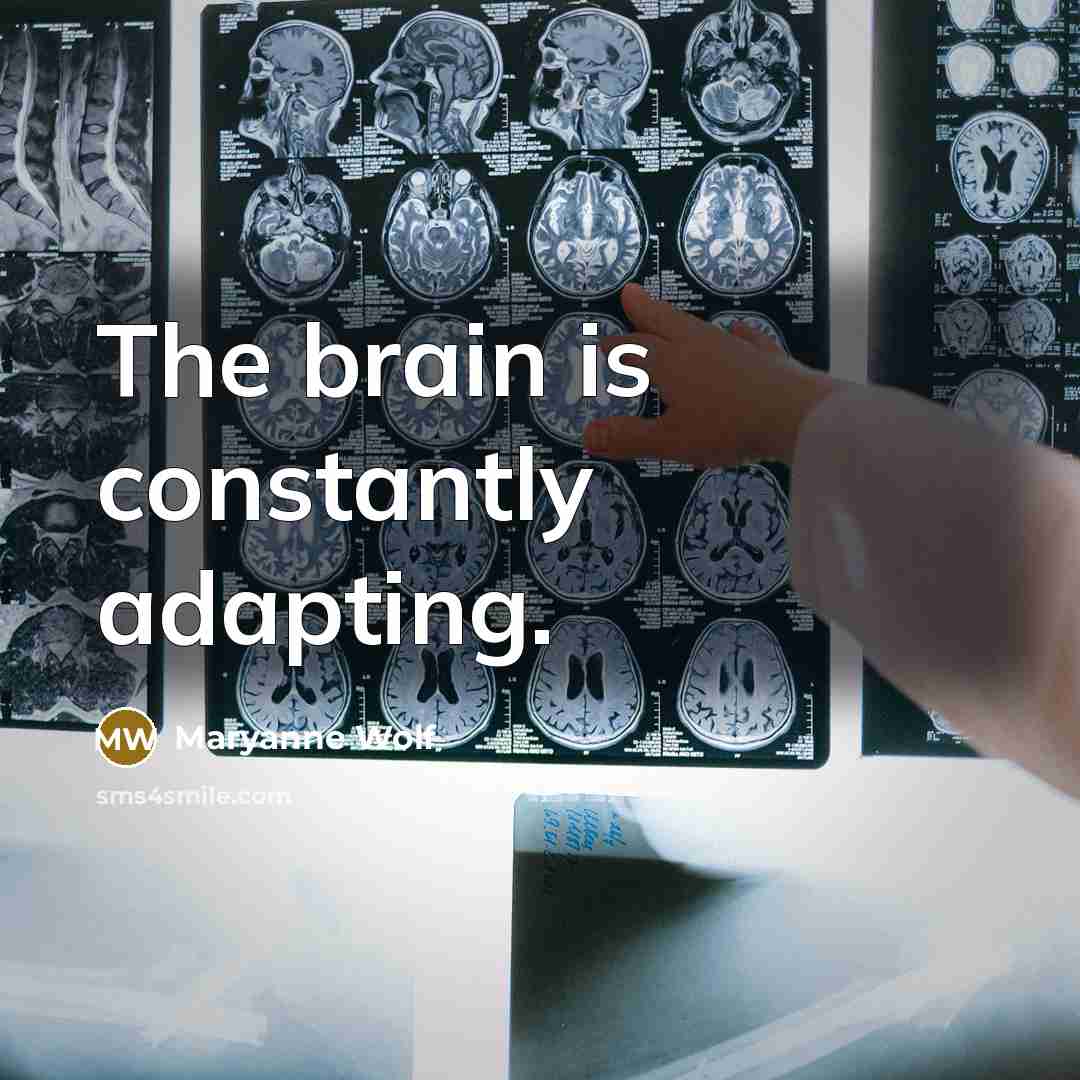 “The brain is constantly adapting.…” quote by Maryanne Wolf