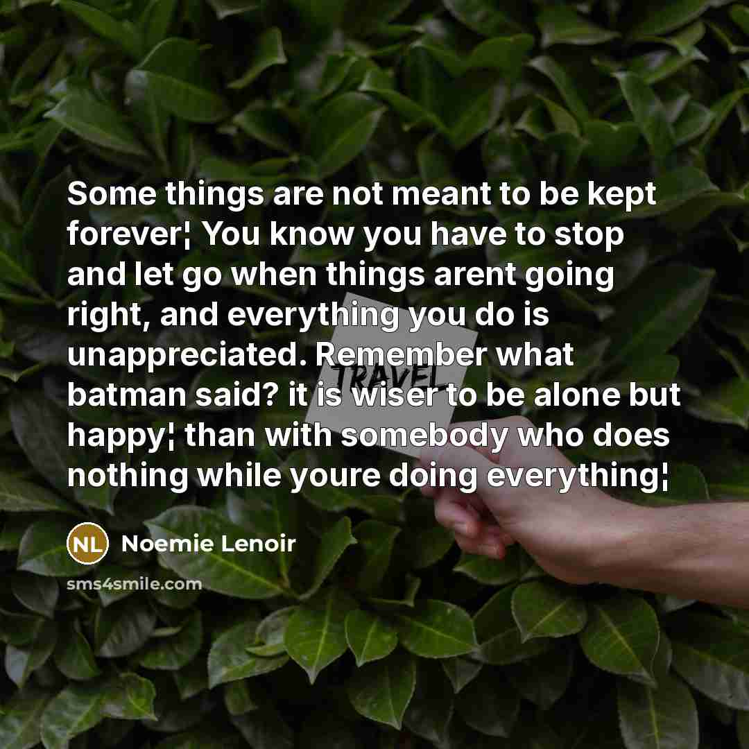 “Some things are not meant to be kept forever¦ You…” quote by Noemie Lenoir