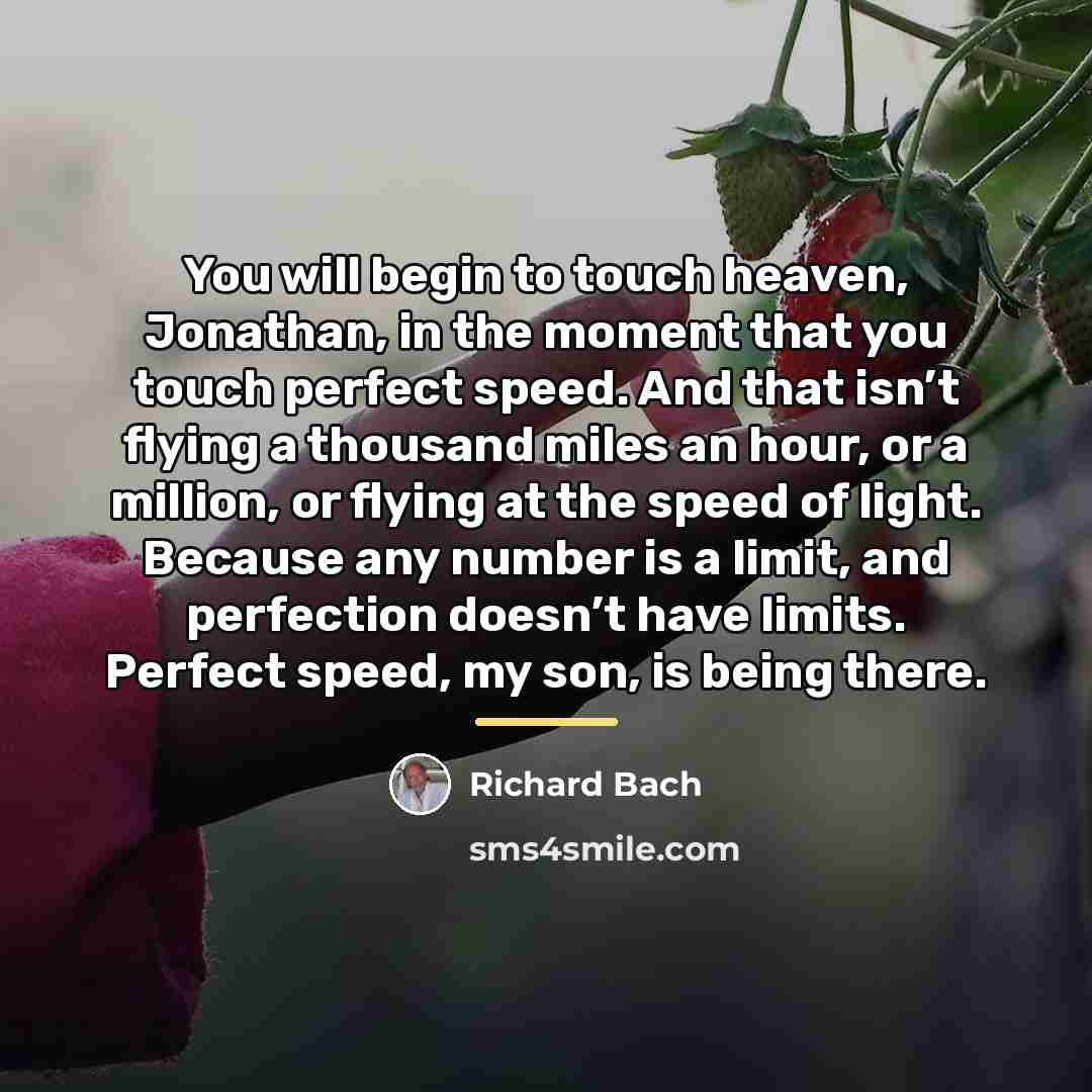 “You will begin to touch heaven, Jonathan, in the moment…” quote by Richard Bach