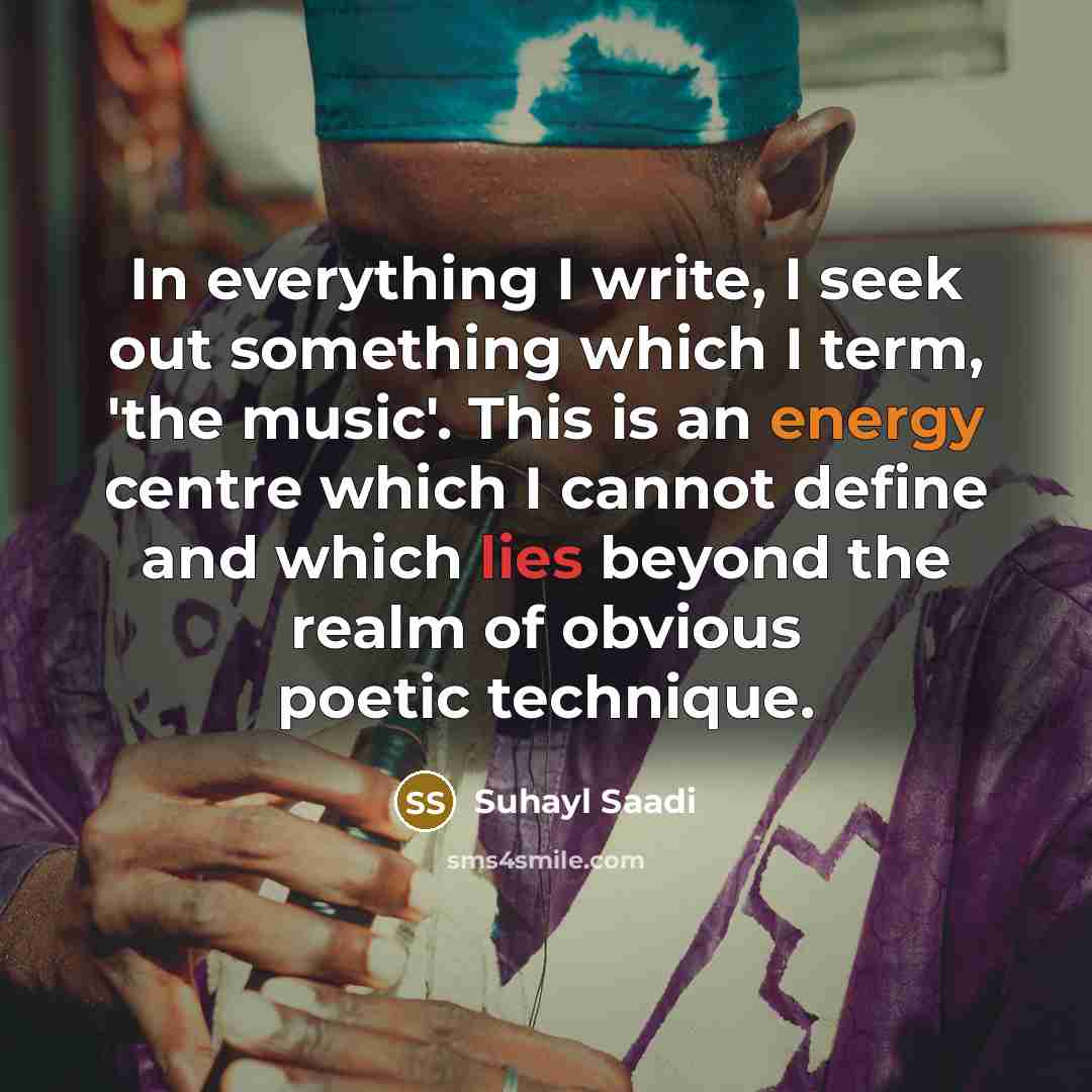 “In everything I write, I seek out something which I…” quote by Suhayl Saadi