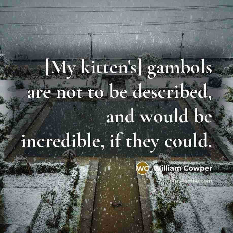 “[My kitten's] gambols are not to be described, and would…” quote by William Cowper