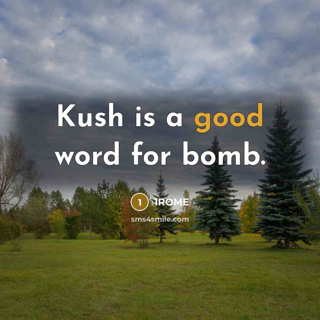 “Kush is a good word for bomb.…” quote by 1ROME