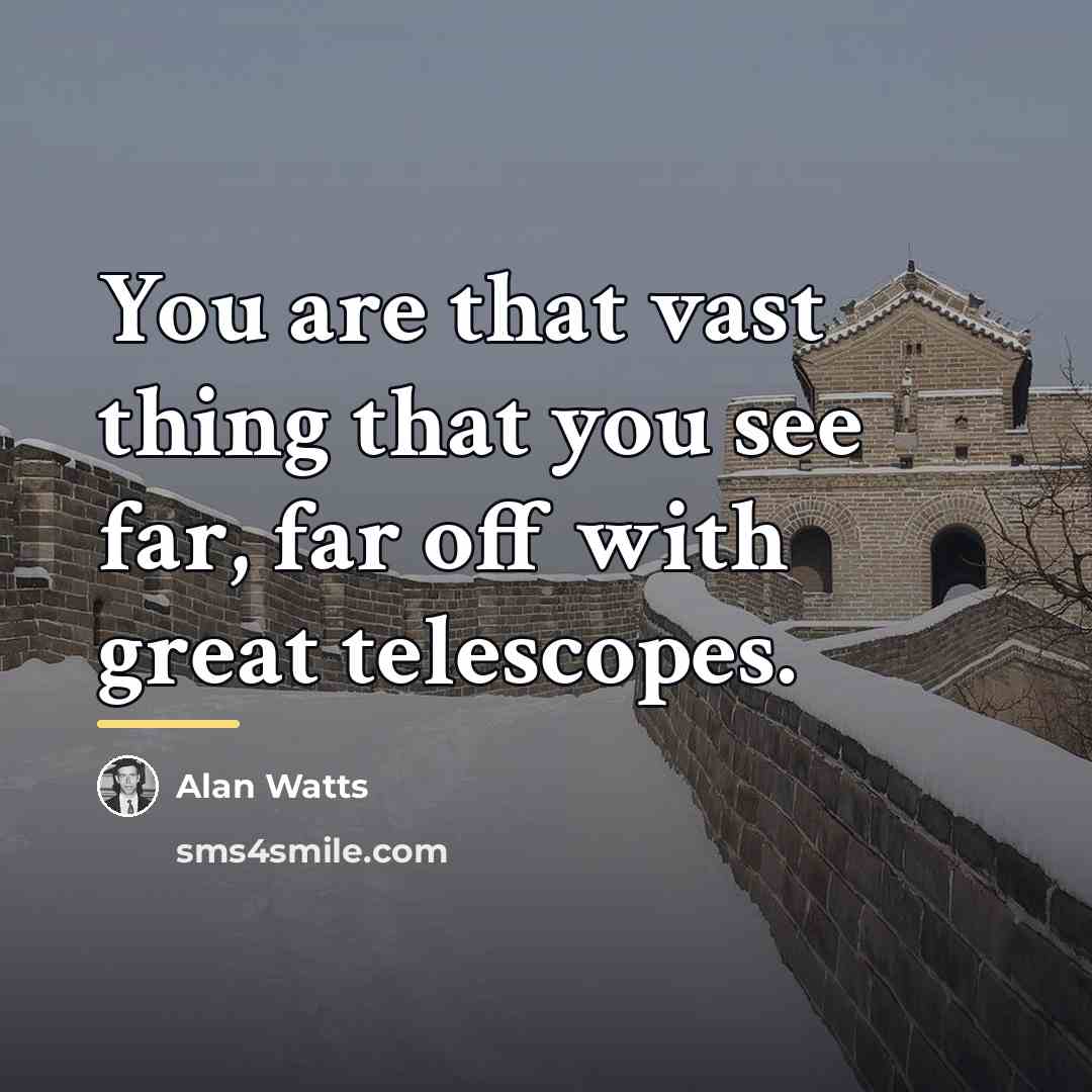 “You are that vast thing that you see far, far…” quote by Alan Watts