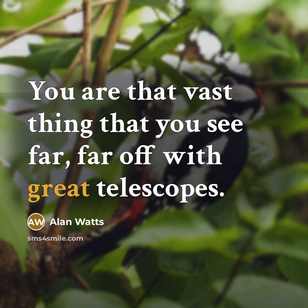 “You are that vast thing that you see far, far off with great telescopes.” quote by Alan Watts