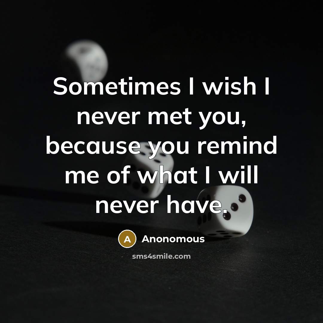 “Sometimes I wish I never met you, because you remind…” quote by Anonomous