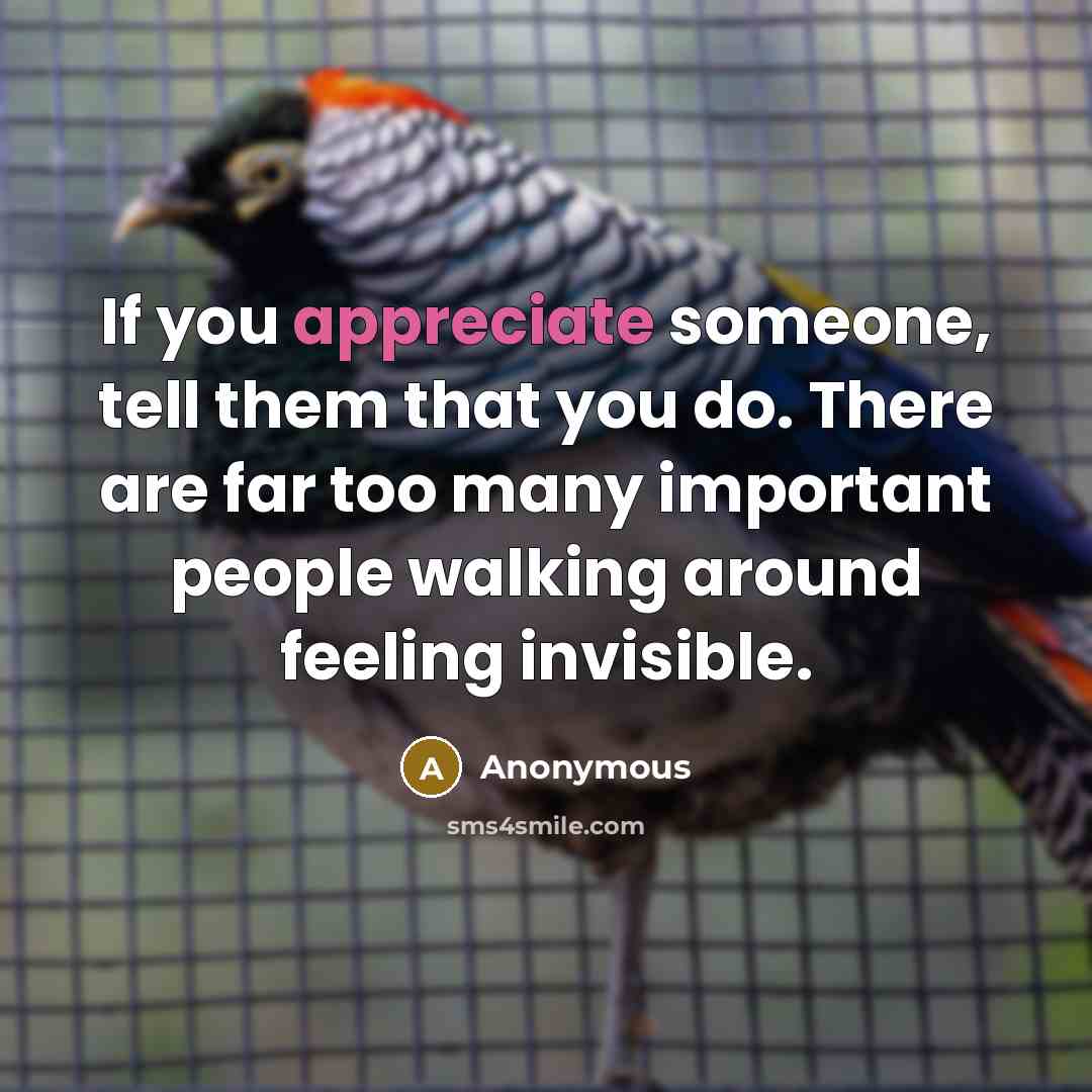 “If you appreciate someone, tell them that you do. There are far too many important people walking around feeling invisible.” quote by Anonymous