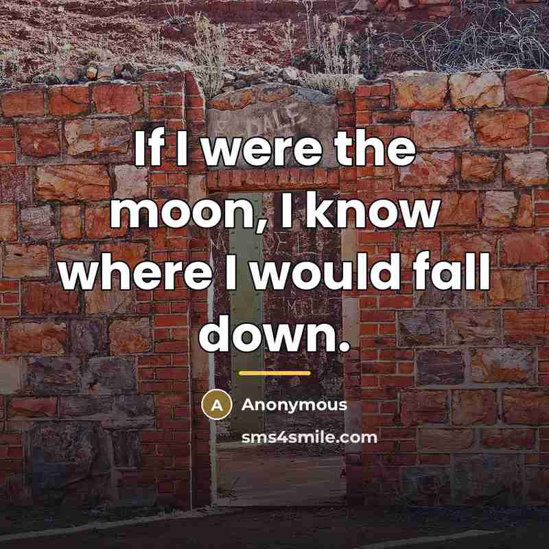 “If I were the moon, I know where I would…” quote by Anonymous