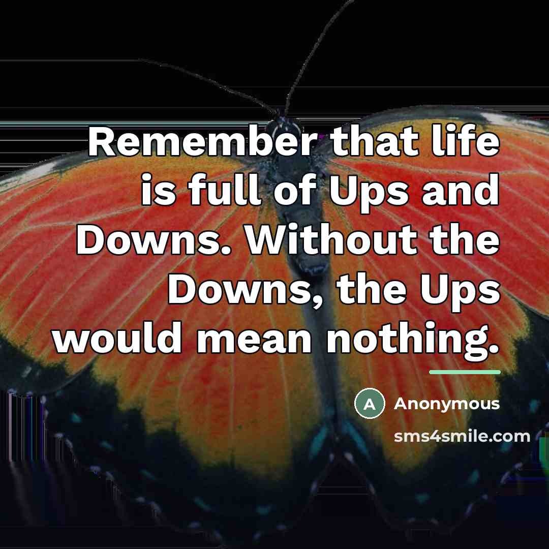 “Remember that life is full of Ups and Downs. Without…” quote by Anonymous