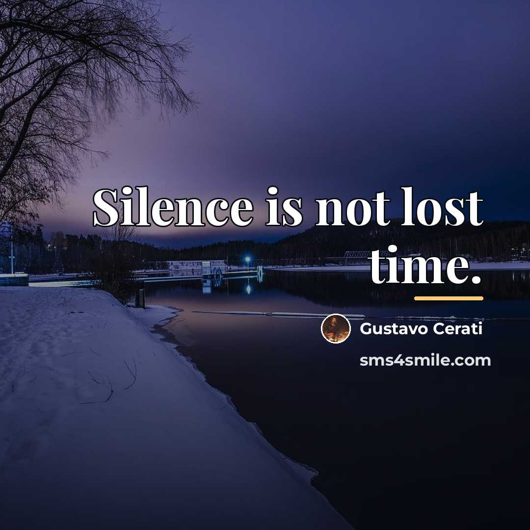 “Silence is not lost time.…” quote by Gustavo Cerati