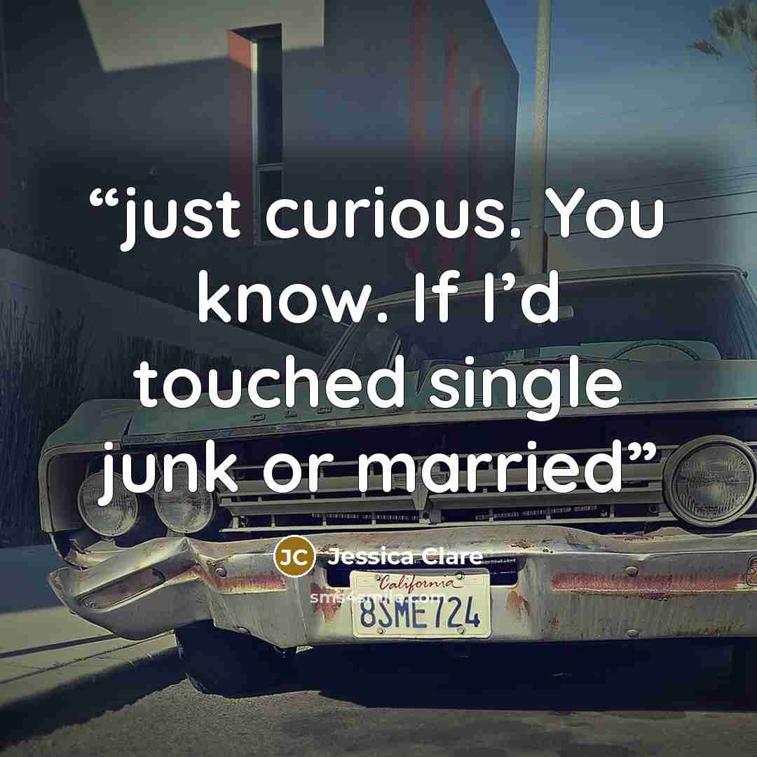 “just curious. You know. If I’d touched single junk or married” quote by Jessica Clare