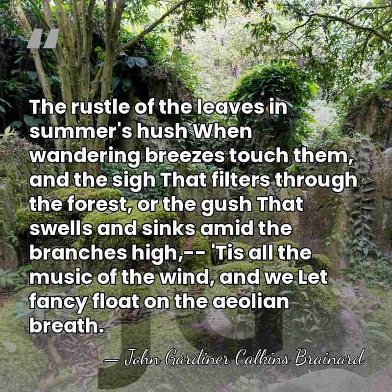 The rustle of the leaves in summer's hush When wandering breezes touch&hellip; - John Gardiner Calkins Brainard