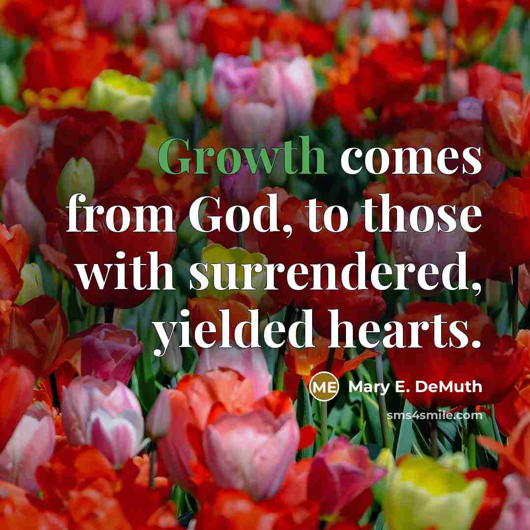 “Growth comes from God, to those with surrendered, yielded hearts.…” quote by Mary E. DeMuth