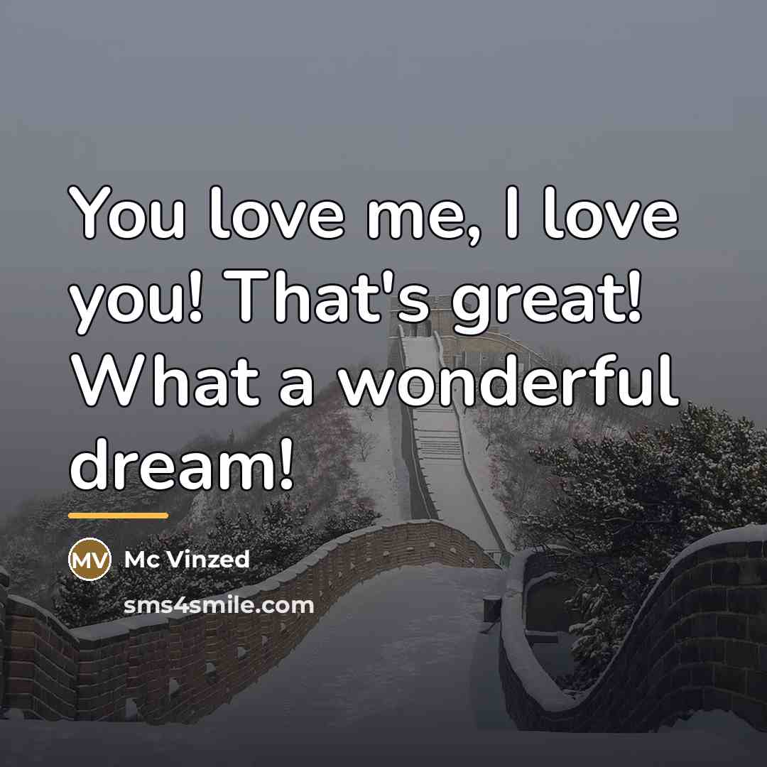 “You love me, I love you! That's great! What a…” quote by Mc Vinzed