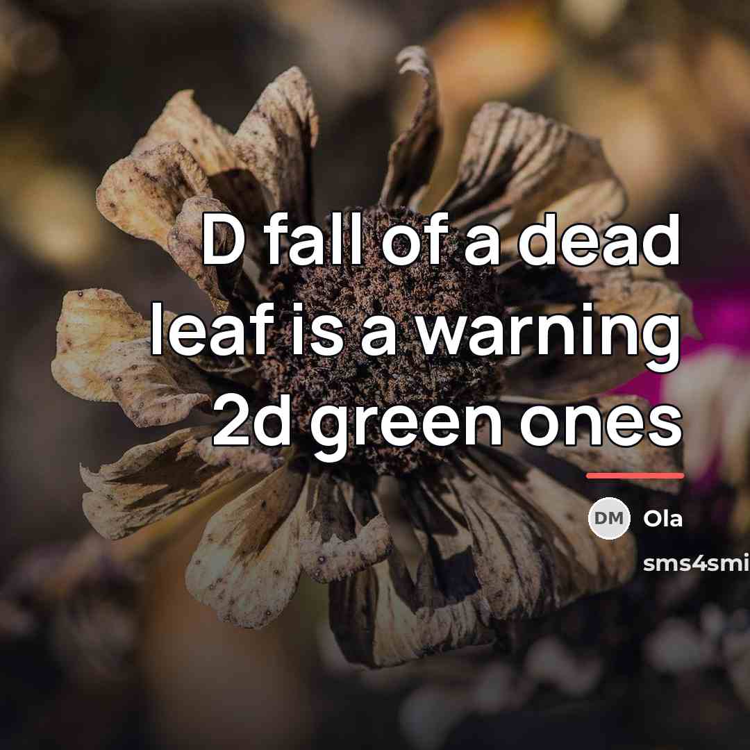 “D fall of a dead leaf is a warning 2d…” quote by Ola