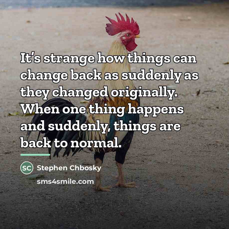 “It’s strange how things can change back as suddenly as…” quote by Stephen Chbosky