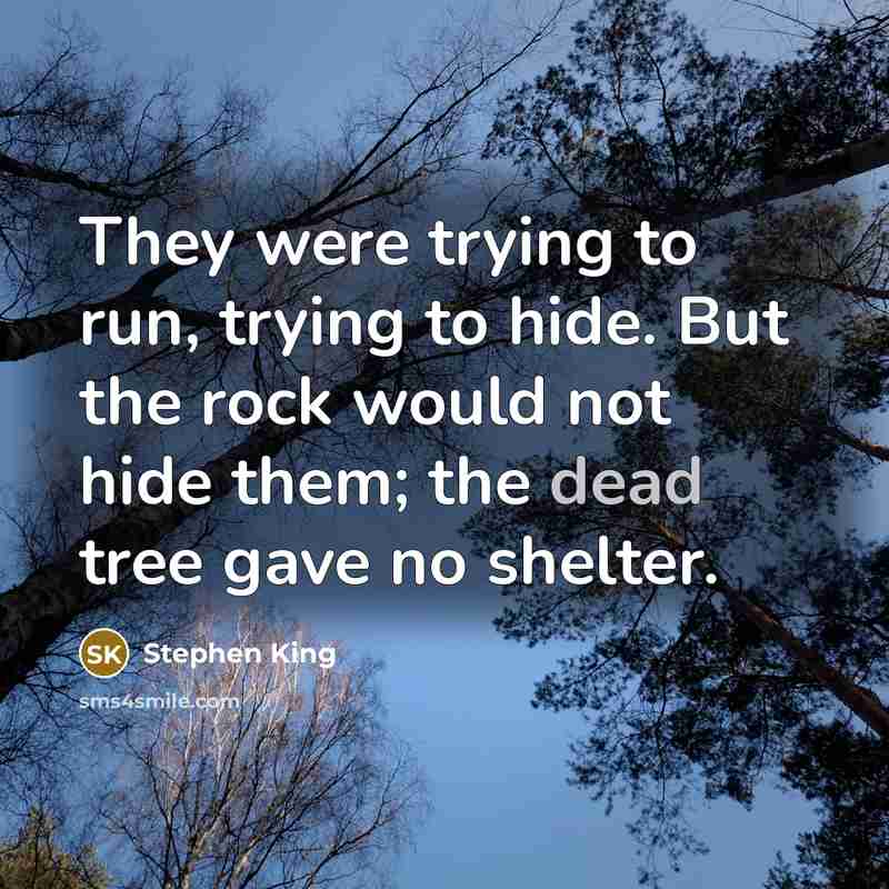 “They were trying to run, trying to hide. But the…” quote by Stephen King