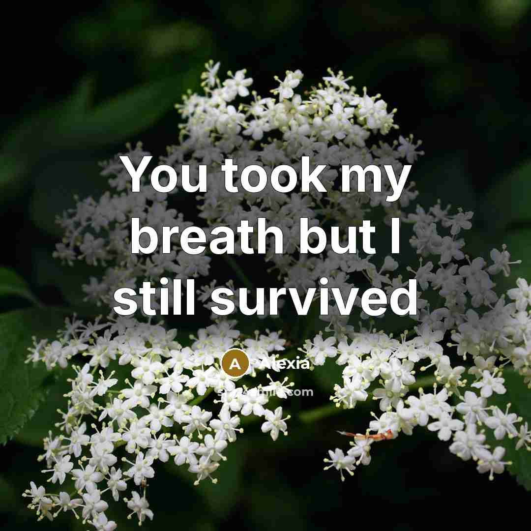 “You took my breath but I still survived…” quote by Alexia