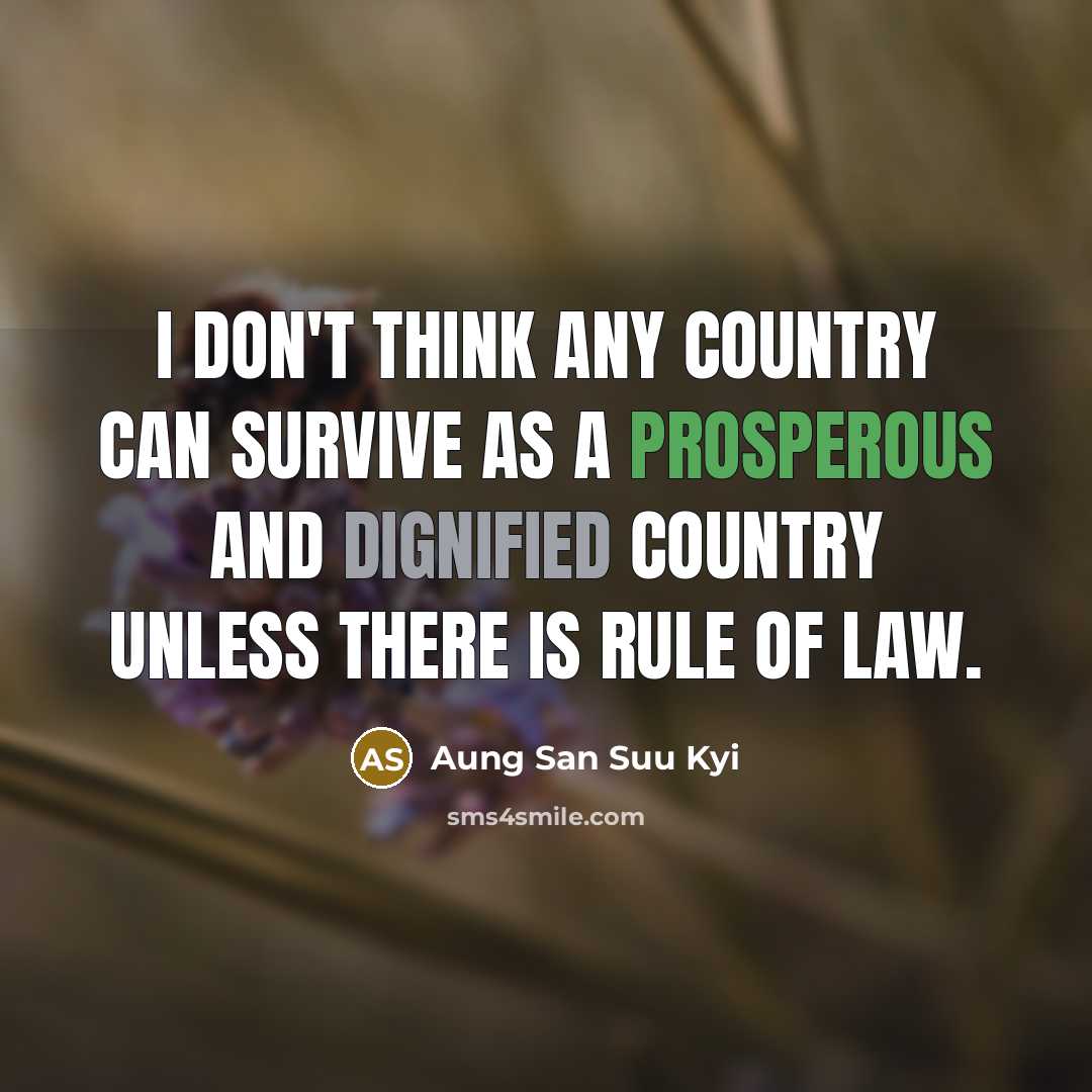 “I don't think any country can survive as a prosperous…” quote by Aung San Suu Kyi