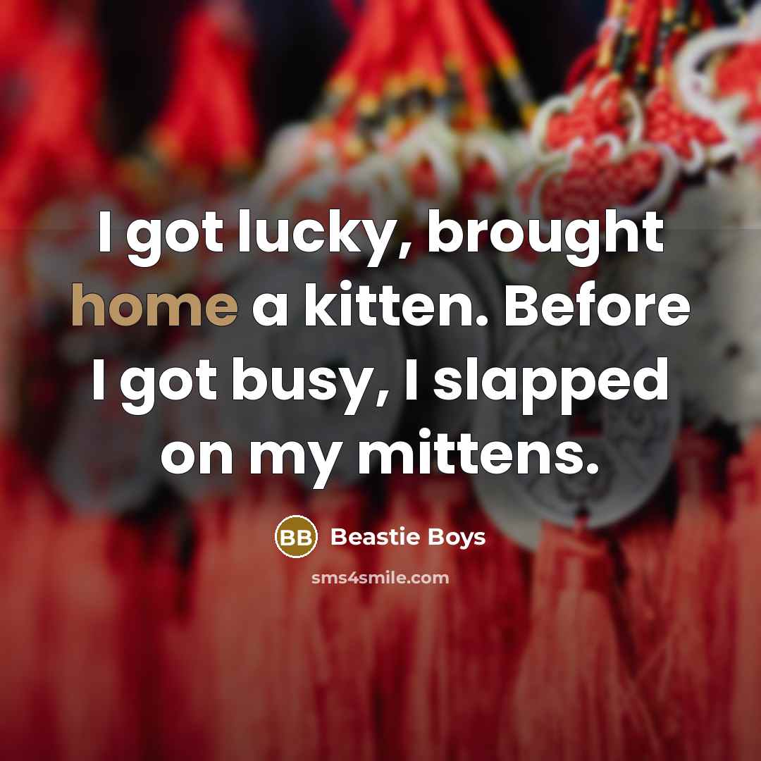 “I got lucky, brought home a kitten. Before I got…” quote by Beastie Boys