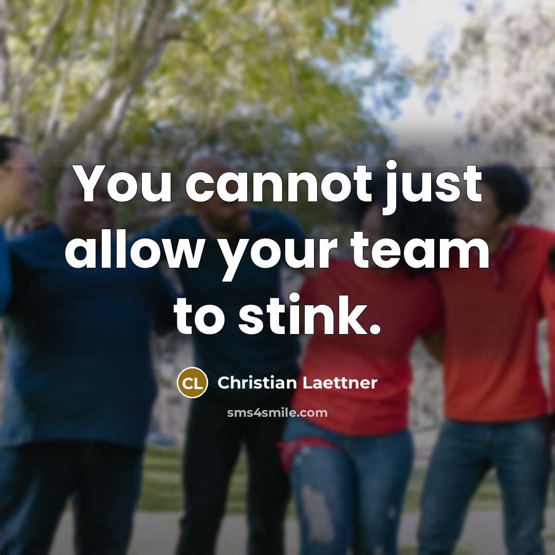 “You cannot just allow your team to stink.…” quote by Christian Laettner