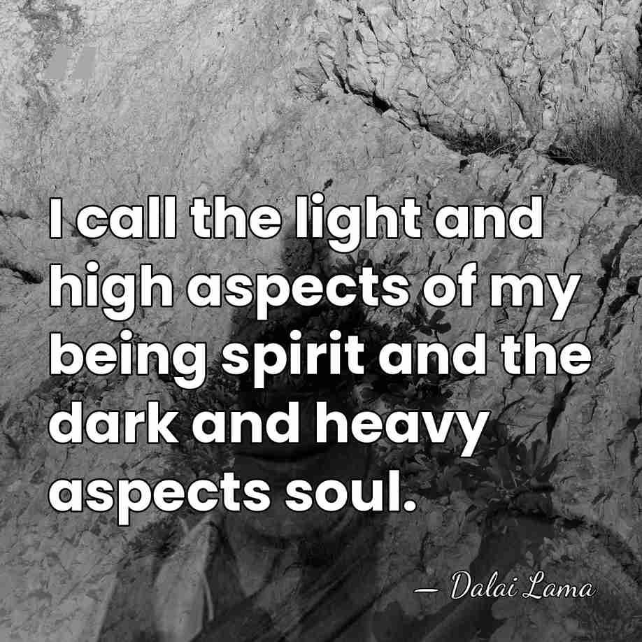 I call the light and high aspects of my being spirit and&hellip; - Dalai Lama