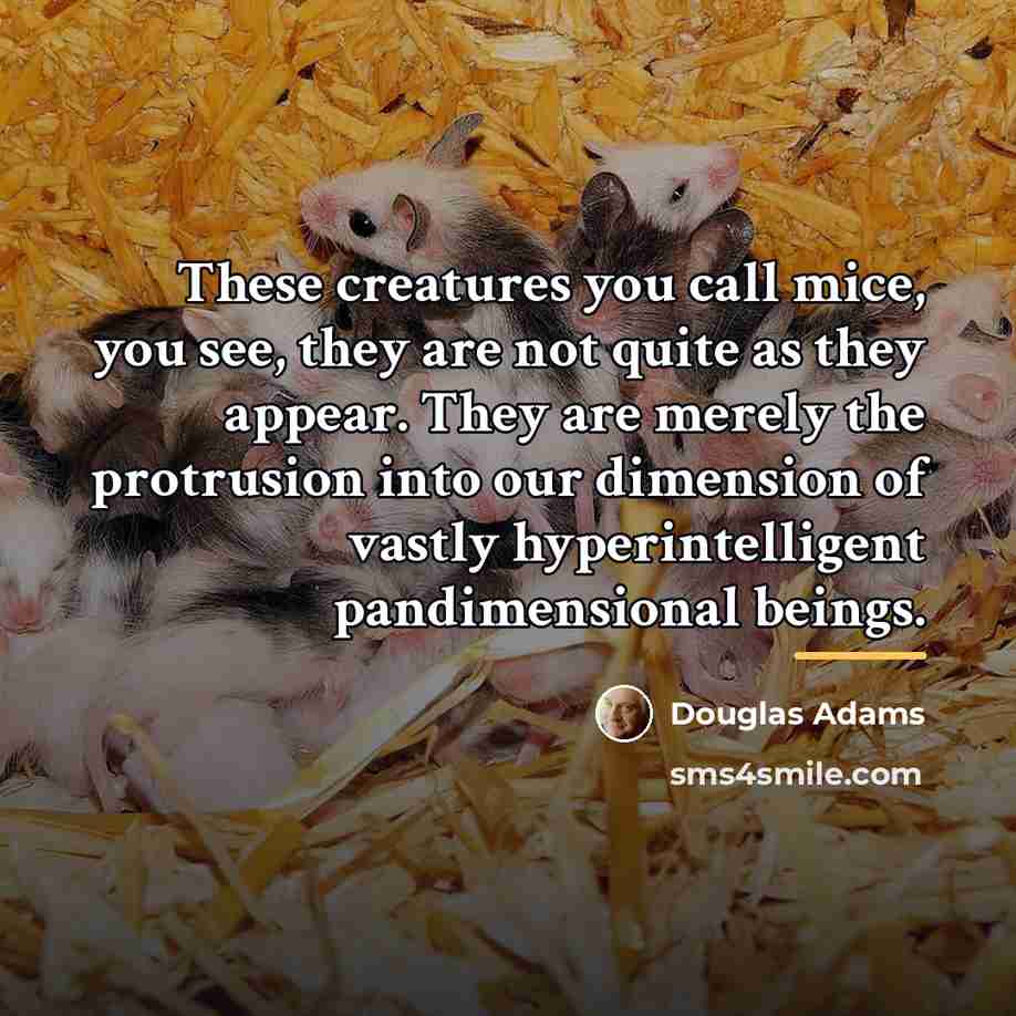 “These creatures you call mice, you see, they are not…” quote by Douglas Adams