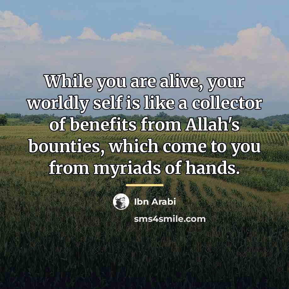 “While you are alive, your worldly self is like a…” quote by Ibn Arabi