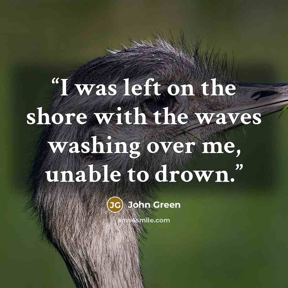 “I was left on the shore with the waves washing over me, unable to drown.” quote by John Green