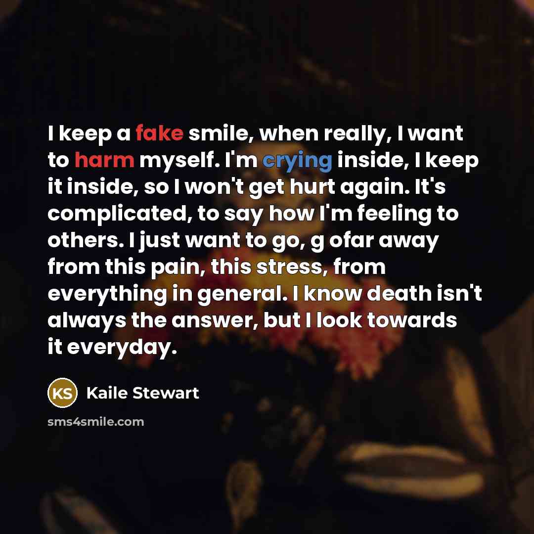 “I keep a fake smile, when really, I want to…” quote by Kaile Stewart