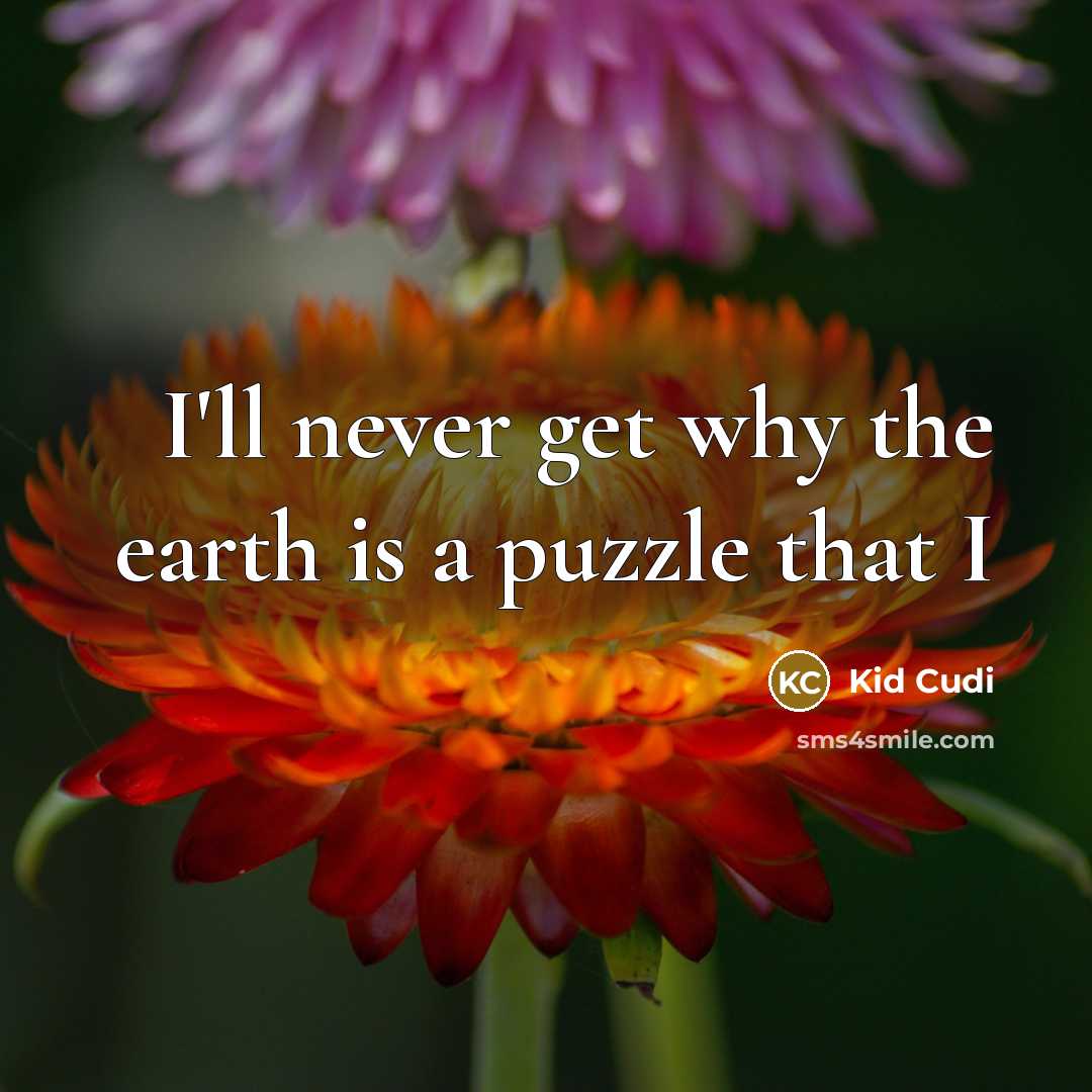“I'll never get why the earth is a puzzle that I” quote by Kid Cudi